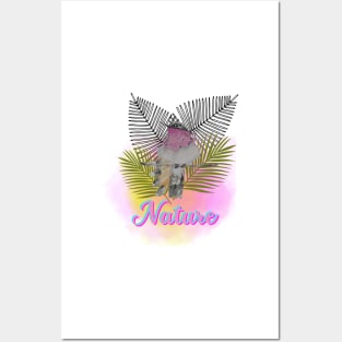 Hummingbird Posters and Art